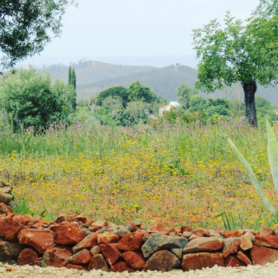 Quinta Das Piteiras-Turismo Rural Silves Esterno foto