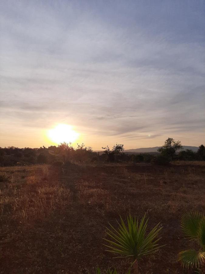 Quinta Das Piteiras-Turismo Rural Silves Esterno foto